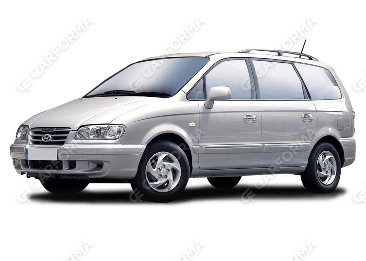 Коврики на Hyundai Trajet 1999&nbsp;-&nbsp;2008 на заказ с доставкой в Советск, Кировская обл.