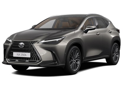 Ворсовые коврики на Lexus NX II 2021&nbsp;-&nbsp;2026 в Улан-Удэ