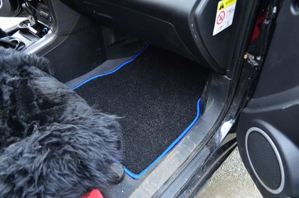 EVA коврики на Lifan X60 2011 - 2022 в Улан-Удэ EVA коврики на Lifan X60 2011 - 2022 в Улан-Удэ