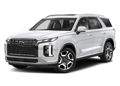 Коврики на Hyundai Palisade 2018 - 2026 в Улан-Удэ Коврики на Hyundai Palisade 2018 - 2026 в Улан-Удэ