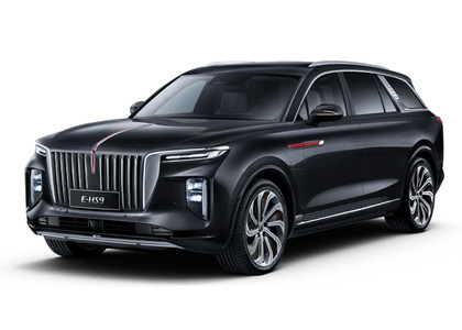 Ворсовые коврики на Hongqi E-HS9 2022&nbsp;-&nbsp;2026 в Улан-Удэ