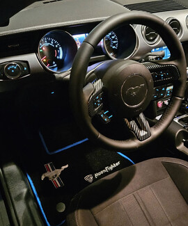 Ворсовые коврики на Ford Mustang VI 2013&nbsp;-&nbsp;2023 в Улан-Удэ