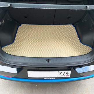 EVA коврики на Evolute i-Joy 2022&nbsp;-&nbsp;2026 в Улан-Удэ