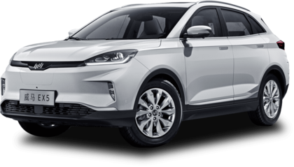 Коврики на Weltmeister EX5 2018&nbsp;-&nbsp;2022 в Улан-Удэ